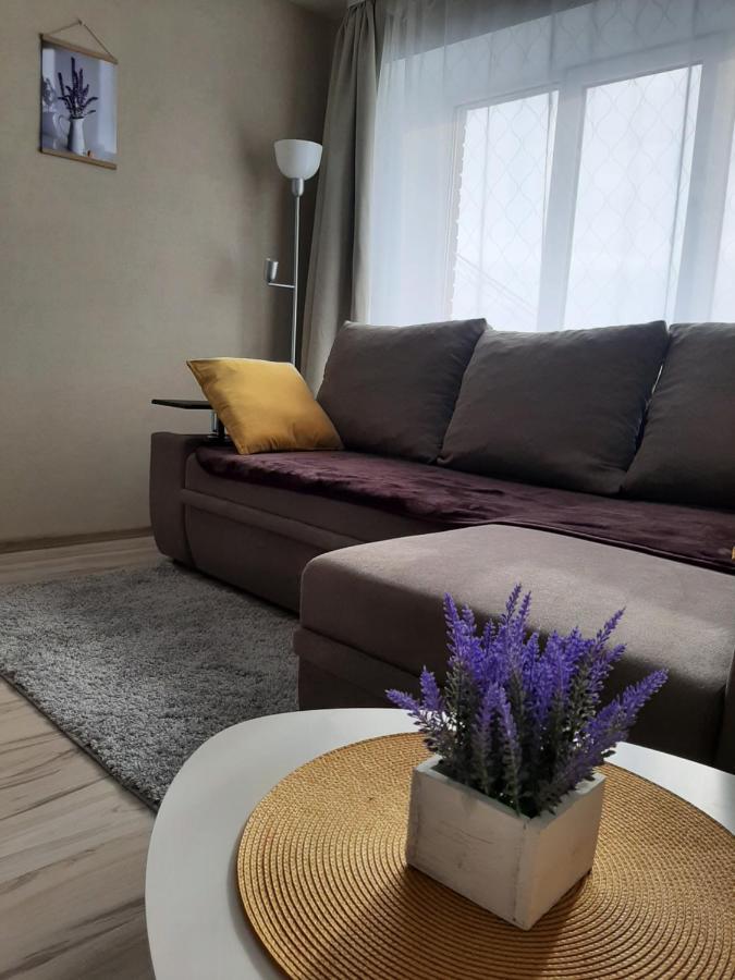 Ir Apartment 雷泽克内 外观 照片